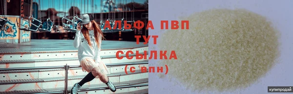 прущие крисы Бородино