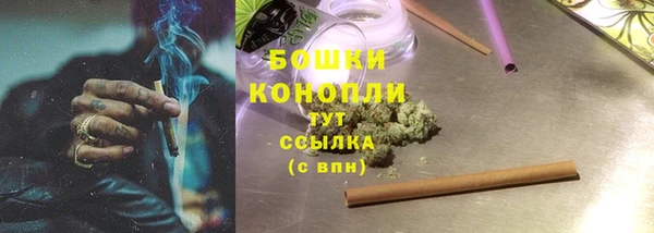 прущие крисы Бородино