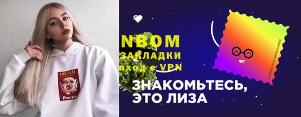 прущие крисы Бородино