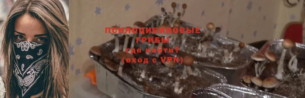 прущие крисы Бородино