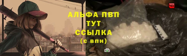прущие крисы Бородино