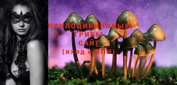 ПСИЛОЦИБИНОВЫЕ ГРИБЫ Бугульма