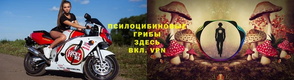 прущие крисы Бородино