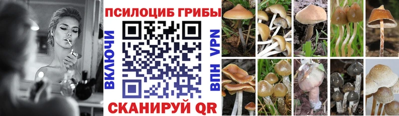 Галлюциногенные грибы MAGIC MUSHROOMS  Березники 